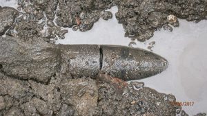 fuite dans une canalisation enterrée